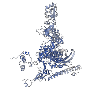 20462_6pss_I_v1-2
Escherichia coli RNA polymerase promoter unwinding intermediate (TRPi1.5a) with TraR and mutant rpsT P2 promoter