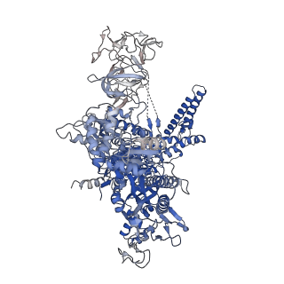20462_6pss_J_v1-1
Escherichia coli RNA polymerase promoter unwinding intermediate (TRPi1.5a) with TraR and mutant rpsT P2 promoter