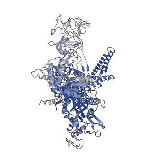 20462_6pss_J_v1-2
Escherichia coli RNA polymerase promoter unwinding intermediate (TRPi1.5a) with TraR and mutant rpsT P2 promoter