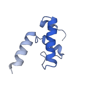 20462_6pss_K_v1-2
Escherichia coli RNA polymerase promoter unwinding intermediate (TRPi1.5a) with TraR and mutant rpsT P2 promoter