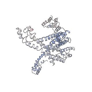 20462_6pss_L_v1-1
Escherichia coli RNA polymerase promoter unwinding intermediate (TRPi1.5a) with TraR and mutant rpsT P2 promoter