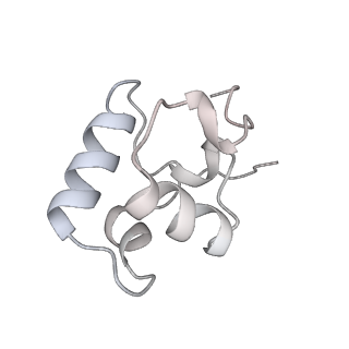 20462_6pss_M_v1-2
Escherichia coli RNA polymerase promoter unwinding intermediate (TRPi1.5a) with TraR and mutant rpsT P2 promoter