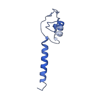 20462_6pss_N_v1-1
Escherichia coli RNA polymerase promoter unwinding intermediate (TRPi1.5a) with TraR and mutant rpsT P2 promoter