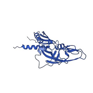 20463_6pst_G_v1-1
Escherichia coli RNA polymerase promoter unwinding intermediate (TRPi1.5b) with TraR and mutant rpsT P2 promoter