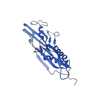 20463_6pst_H_v1-1
Escherichia coli RNA polymerase promoter unwinding intermediate (TRPi1.5b) with TraR and mutant rpsT P2 promoter