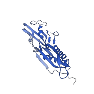 20463_6pst_H_v1-2
Escherichia coli RNA polymerase promoter unwinding intermediate (TRPi1.5b) with TraR and mutant rpsT P2 promoter