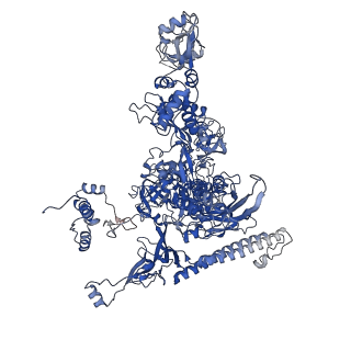 20463_6pst_I_v1-1
Escherichia coli RNA polymerase promoter unwinding intermediate (TRPi1.5b) with TraR and mutant rpsT P2 promoter