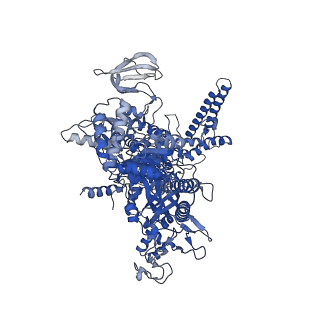 20463_6pst_J_v1-1
Escherichia coli RNA polymerase promoter unwinding intermediate (TRPi1.5b) with TraR and mutant rpsT P2 promoter