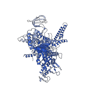 20463_6pst_J_v1-2
Escherichia coli RNA polymerase promoter unwinding intermediate (TRPi1.5b) with TraR and mutant rpsT P2 promoter