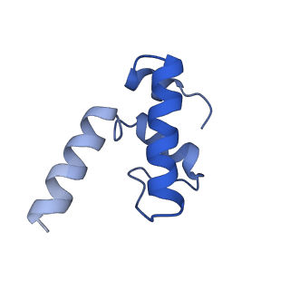 20463_6pst_K_v1-1
Escherichia coli RNA polymerase promoter unwinding intermediate (TRPi1.5b) with TraR and mutant rpsT P2 promoter
