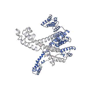 20463_6pst_L_v1-1
Escherichia coli RNA polymerase promoter unwinding intermediate (TRPi1.5b) with TraR and mutant rpsT P2 promoter