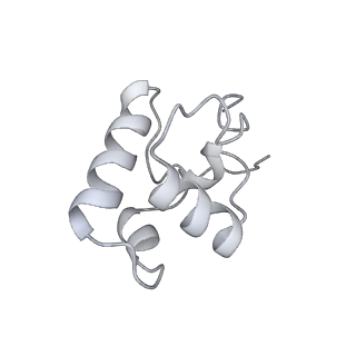 20463_6pst_M_v1-2
Escherichia coli RNA polymerase promoter unwinding intermediate (TRPi1.5b) with TraR and mutant rpsT P2 promoter