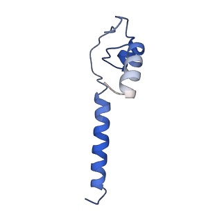 20463_6pst_N_v1-1
Escherichia coli RNA polymerase promoter unwinding intermediate (TRPi1.5b) with TraR and mutant rpsT P2 promoter