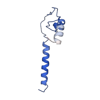 20463_6pst_N_v1-2
Escherichia coli RNA polymerase promoter unwinding intermediate (TRPi1.5b) with TraR and mutant rpsT P2 promoter