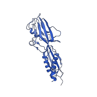 20464_6psu_G_v1-1
Escherichia coli RNA polymerase promoter unwinding intermediate (TRPi2) with TraR and rpsT P2 promoter