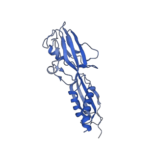 20464_6psu_G_v1-2
Escherichia coli RNA polymerase promoter unwinding intermediate (TRPi2) with TraR and rpsT P2 promoter