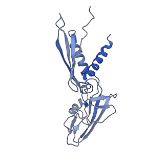 20464_6psu_H_v1-1
Escherichia coli RNA polymerase promoter unwinding intermediate (TRPi2) with TraR and rpsT P2 promoter