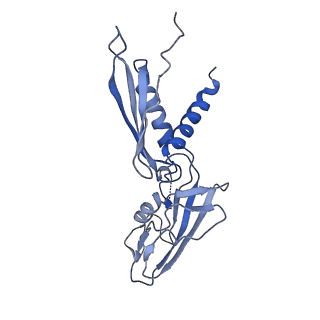 20464_6psu_H_v1-2
Escherichia coli RNA polymerase promoter unwinding intermediate (TRPi2) with TraR and rpsT P2 promoter