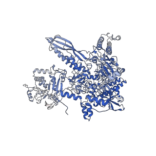 20464_6psu_I_v1-1
Escherichia coli RNA polymerase promoter unwinding intermediate (TRPi2) with TraR and rpsT P2 promoter