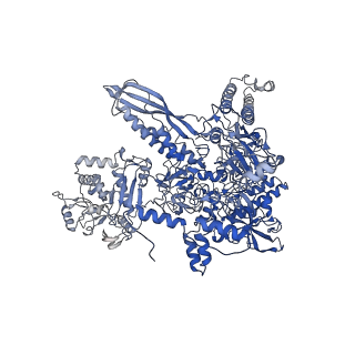 20464_6psu_I_v1-2
Escherichia coli RNA polymerase promoter unwinding intermediate (TRPi2) with TraR and rpsT P2 promoter