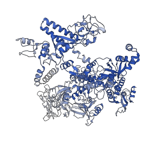 20464_6psu_J_v1-1
Escherichia coli RNA polymerase promoter unwinding intermediate (TRPi2) with TraR and rpsT P2 promoter