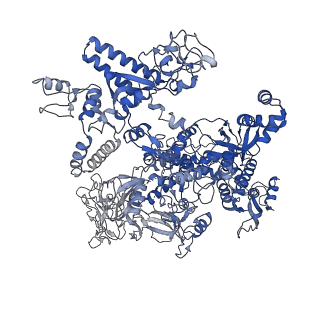 20464_6psu_J_v1-2
Escherichia coli RNA polymerase promoter unwinding intermediate (TRPi2) with TraR and rpsT P2 promoter