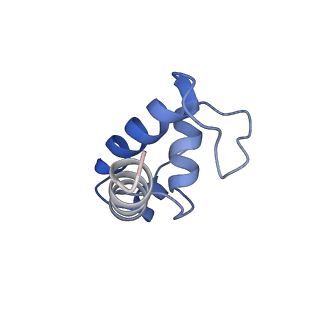 20464_6psu_K_v1-1
Escherichia coli RNA polymerase promoter unwinding intermediate (TRPi2) with TraR and rpsT P2 promoter