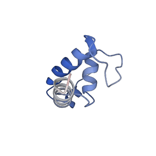 20464_6psu_K_v1-2
Escherichia coli RNA polymerase promoter unwinding intermediate (TRPi2) with TraR and rpsT P2 promoter