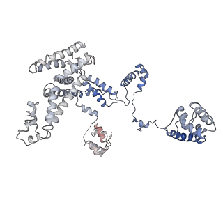 20464_6psu_L_v1-2
Escherichia coli RNA polymerase promoter unwinding intermediate (TRPi2) with TraR and rpsT P2 promoter