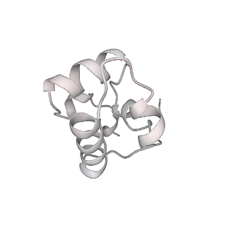 20464_6psu_M_v1-2
Escherichia coli RNA polymerase promoter unwinding intermediate (TRPi2) with TraR and rpsT P2 promoter