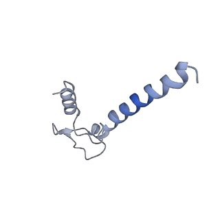 20464_6psu_N_v1-1
Escherichia coli RNA polymerase promoter unwinding intermediate (TRPi2) with TraR and rpsT P2 promoter