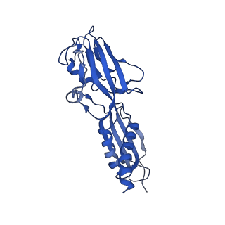 20465_6psv_G_v1-1
Escherichia coli RNA polymerase promoter unwinding intermediate (TpreRPo) with TraR and rpsT P2 promoter