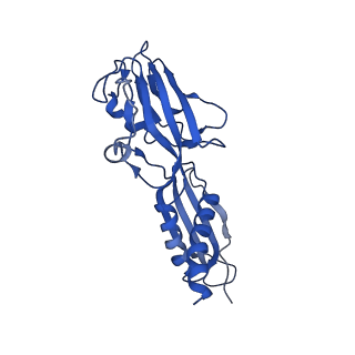 20465_6psv_G_v1-2
Escherichia coli RNA polymerase promoter unwinding intermediate (TpreRPo) with TraR and rpsT P2 promoter