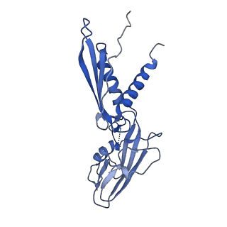 20465_6psv_H_v1-1
Escherichia coli RNA polymerase promoter unwinding intermediate (TpreRPo) with TraR and rpsT P2 promoter