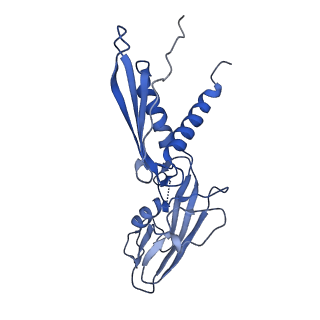 20465_6psv_H_v1-2
Escherichia coli RNA polymerase promoter unwinding intermediate (TpreRPo) with TraR and rpsT P2 promoter