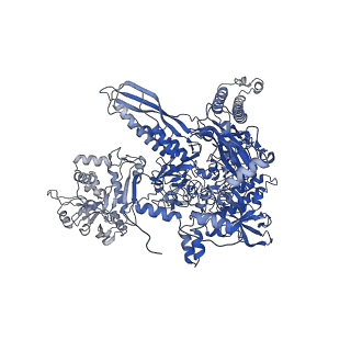 20465_6psv_I_v1-1
Escherichia coli RNA polymerase promoter unwinding intermediate (TpreRPo) with TraR and rpsT P2 promoter