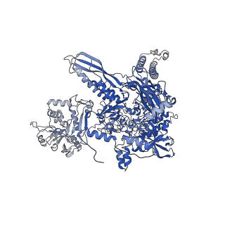 20465_6psv_I_v1-2
Escherichia coli RNA polymerase promoter unwinding intermediate (TpreRPo) with TraR and rpsT P2 promoter