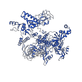 20465_6psv_J_v1-1
Escherichia coli RNA polymerase promoter unwinding intermediate (TpreRPo) with TraR and rpsT P2 promoter