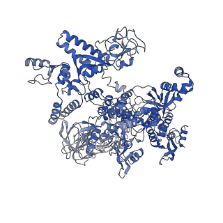 20465_6psv_J_v1-2
Escherichia coli RNA polymerase promoter unwinding intermediate (TpreRPo) with TraR and rpsT P2 promoter