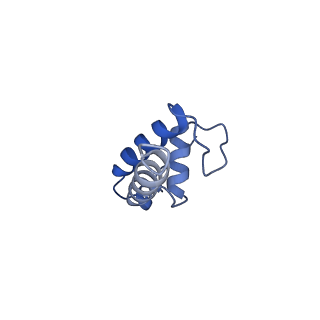 20465_6psv_K_v1-1
Escherichia coli RNA polymerase promoter unwinding intermediate (TpreRPo) with TraR and rpsT P2 promoter