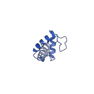 20465_6psv_K_v1-2
Escherichia coli RNA polymerase promoter unwinding intermediate (TpreRPo) with TraR and rpsT P2 promoter