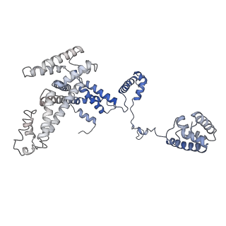 20465_6psv_L_v1-1
Escherichia coli RNA polymerase promoter unwinding intermediate (TpreRPo) with TraR and rpsT P2 promoter
