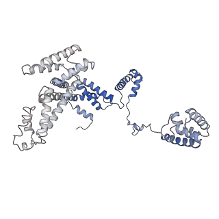 20465_6psv_L_v1-2
Escherichia coli RNA polymerase promoter unwinding intermediate (TpreRPo) with TraR and rpsT P2 promoter