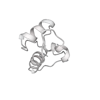 20465_6psv_M_v1-2
Escherichia coli RNA polymerase promoter unwinding intermediate (TpreRPo) with TraR and rpsT P2 promoter