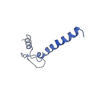 20465_6psv_N_v1-1
Escherichia coli RNA polymerase promoter unwinding intermediate (TpreRPo) with TraR and rpsT P2 promoter