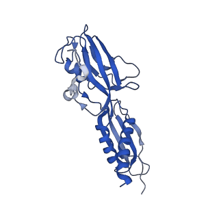 20466_6psw_G_v1-1
Escherichia coli RNA polymerase promoter unwinding intermediate (TRPo) with TraR and rpsT P2 promoter