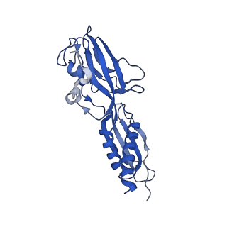 20466_6psw_G_v1-2
Escherichia coli RNA polymerase promoter unwinding intermediate (TRPo) with TraR and rpsT P2 promoter