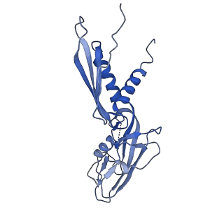 20466_6psw_H_v1-2
Escherichia coli RNA polymerase promoter unwinding intermediate (TRPo) with TraR and rpsT P2 promoter