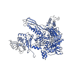 20466_6psw_I_v1-1
Escherichia coli RNA polymerase promoter unwinding intermediate (TRPo) with TraR and rpsT P2 promoter