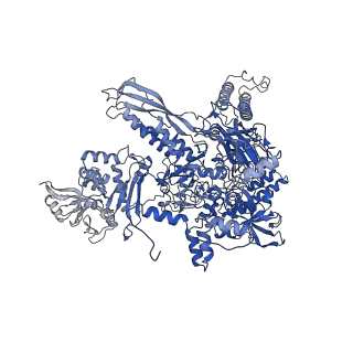 20466_6psw_I_v1-2
Escherichia coli RNA polymerase promoter unwinding intermediate (TRPo) with TraR and rpsT P2 promoter